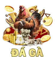 Quản lý ngân sách bl555ff